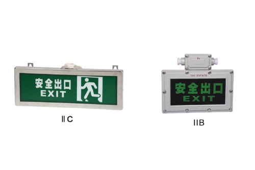 BYYϵз(bio)־IICDIP