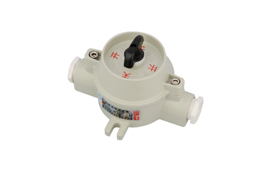 SW-10ϵз_P(gun)IIBDIP